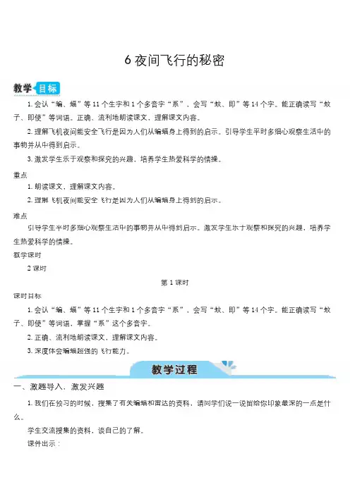 6--夜间飞行的秘密(教案)