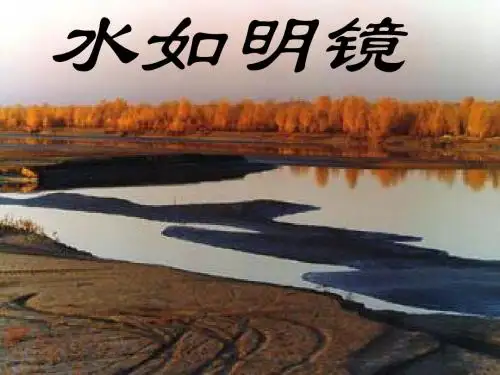 罗布泊,消逝的仙湖PPT98 人教版