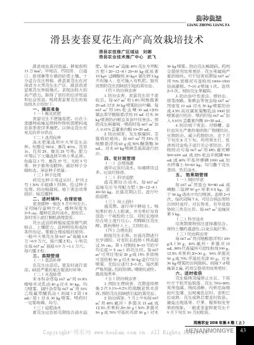 滑县麦套夏花生高产高效栽培技术
