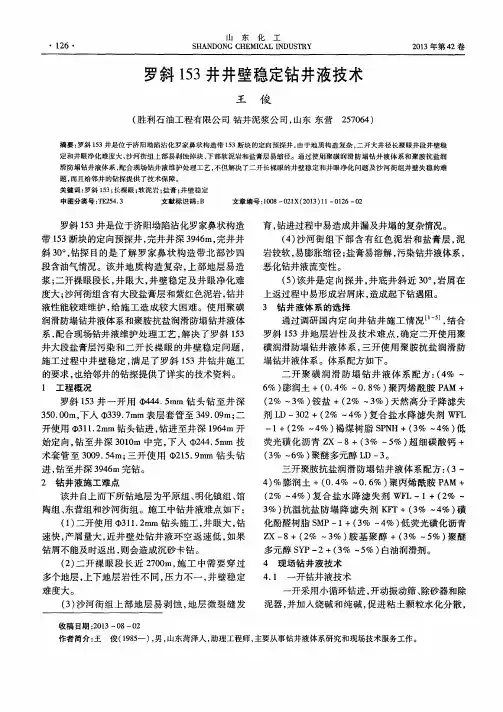罗斜153井井壁稳定钻井液技术