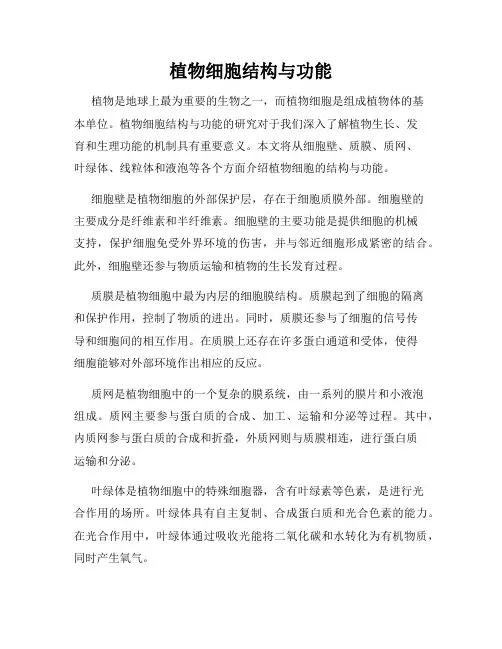植物细胞结构与功能