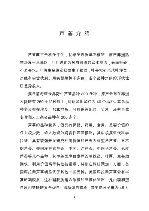 芦荟品种介绍食用药用美容等.doc