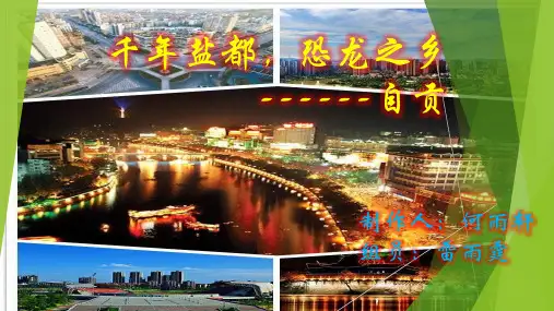 我的家乡  自贡