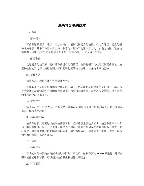 油菜育苗移栽技术