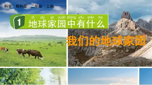 教科版二年级科学上册 第一单元 我们的地球家园 1 地球家园中有什么