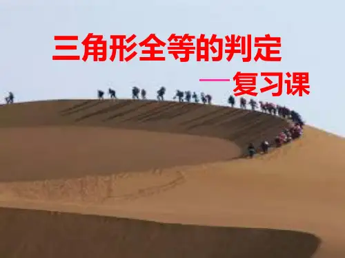 人教部初二八年级数学上册 复习三角形全等的判定 名师教学PPT课件