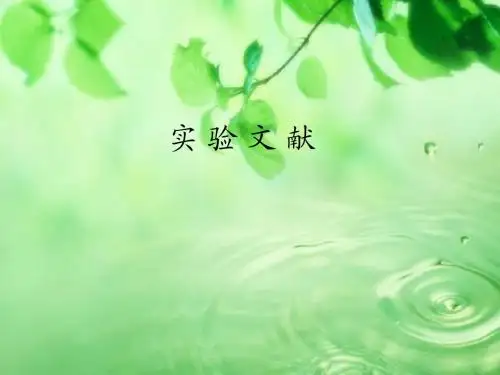 拟薄水铝石发展实验文献