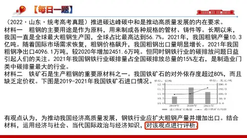 +评析类主观题课件-2024届高考政治二轮复习统编版