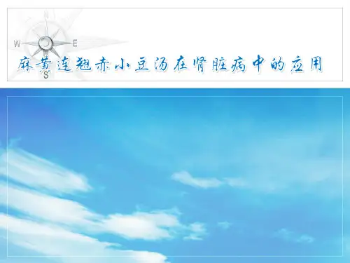 麻黄连翘赤小豆汤a