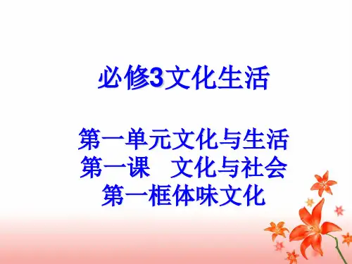 人教版高中政治必修三1.1体味文化(共26张PPT )