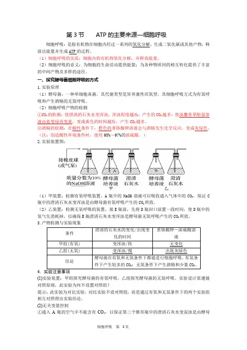高中生物一轮复习(或同步)知识点：细胞呼吸的原理和应用