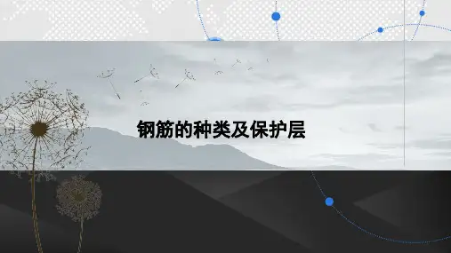 16G101图集平法识图与钢筋计算PPT    钢筋的种类及保护层