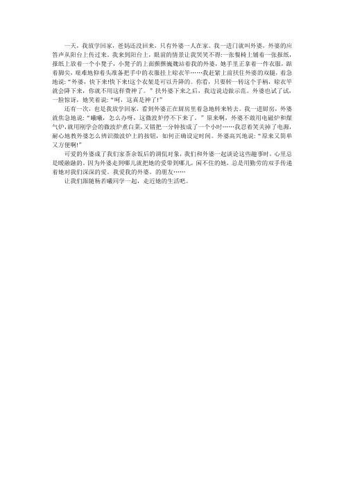我可爱的姥姥二年级作文