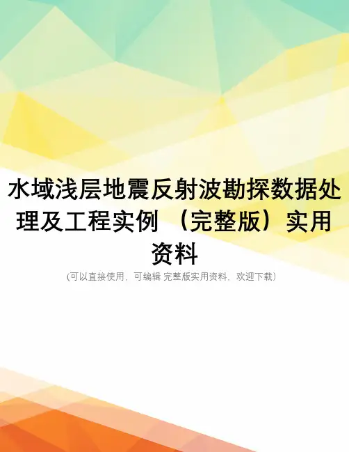 水域浅层地震反射波勘探数据处理及工程实例 (完整版)实用资料