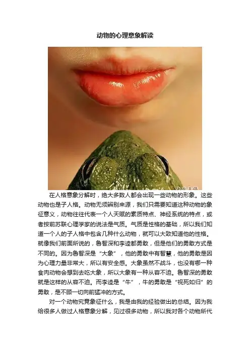 动物的心理意象解读