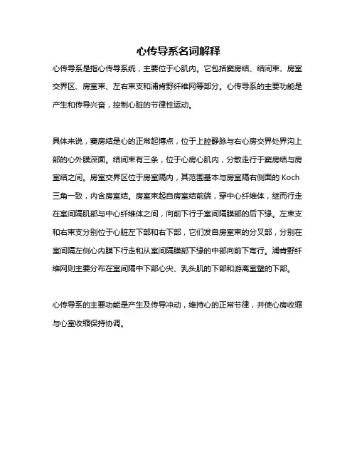 心传导系名词解释