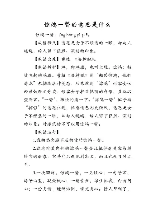 惊鸿一瞥的意思是什么