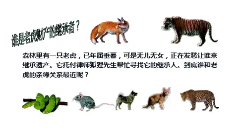 6.从种到界课件(人教版生物)