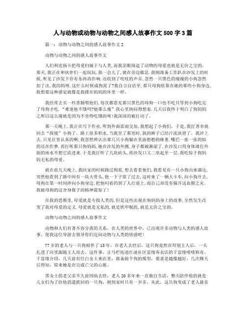 人与动物或动物与动物之间感人故事作文500字3篇