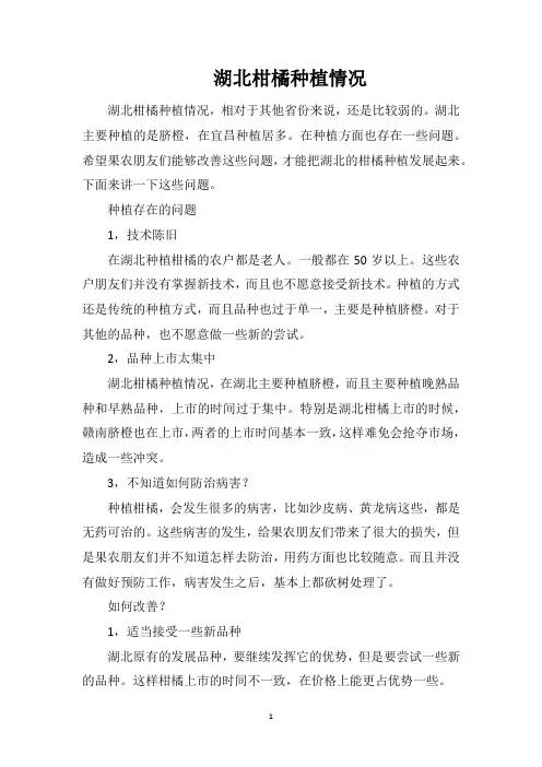 湖北柑橘种植情况