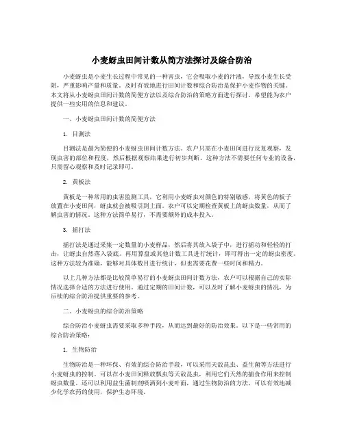 小麦蚜虫田间计数从简方法探讨及综合防治