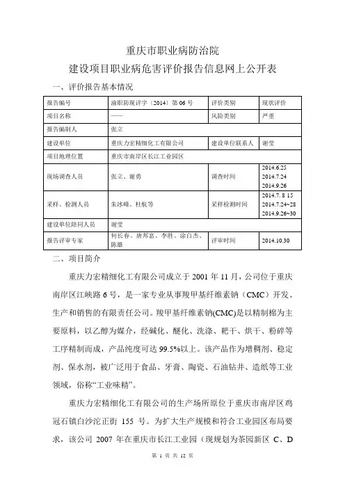 重庆力宏精细化工有限公司现状评价网上公开内容-重庆第六人民医院