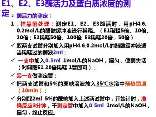 酶活力及蛋白含量测定