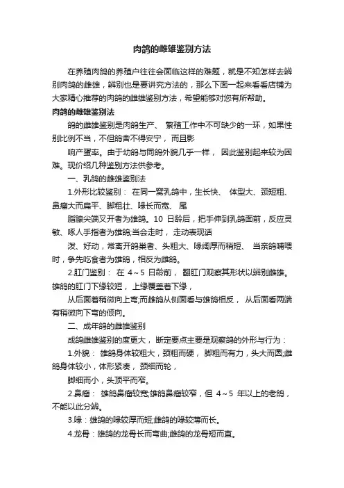 肉鸽的雌雄鉴别方法