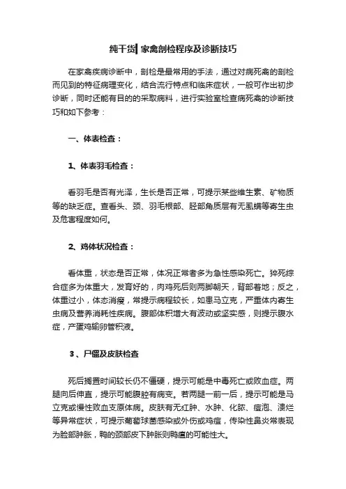 纯干货▍家禽剖检程序及诊断技巧