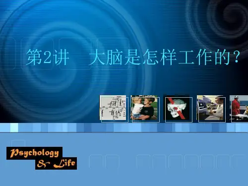 第2讲大脑是怎样工作的-PPT课件