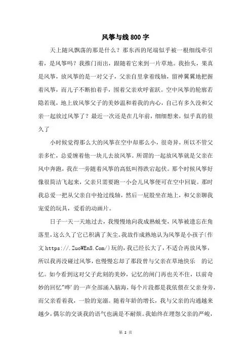 风筝与线800字_4