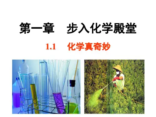 鲁教版化学八年级全一册(五四制)课件：1.1 化学真奇妙 (共张PPT)