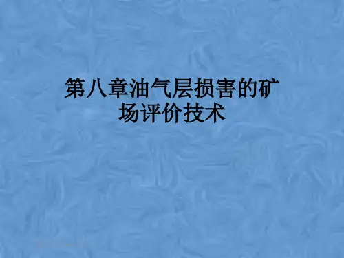第八章油气层损害的矿场评价技术