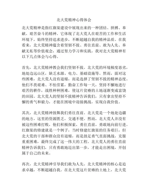 北大荒精神心得体会