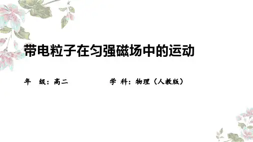 带电粒子在匀强磁场中的运动课件-高二下学期物理人教版(2019)选择性必修第二册