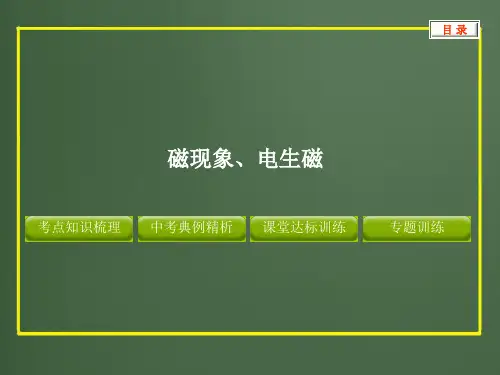 12中考复习物理精品课件--磁现象、电生磁解析