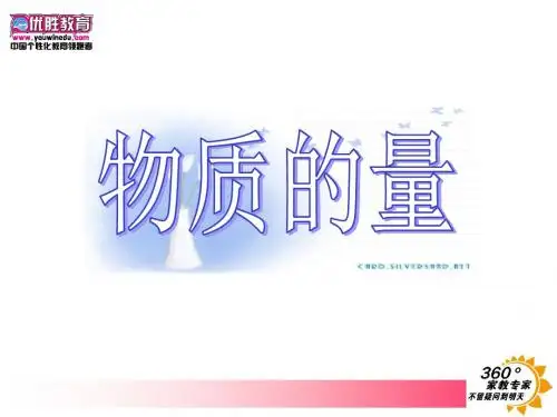 高中化学必修一物质的量课件.ppt