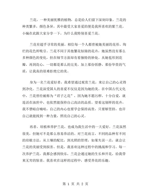我喜爱兰花作文范文