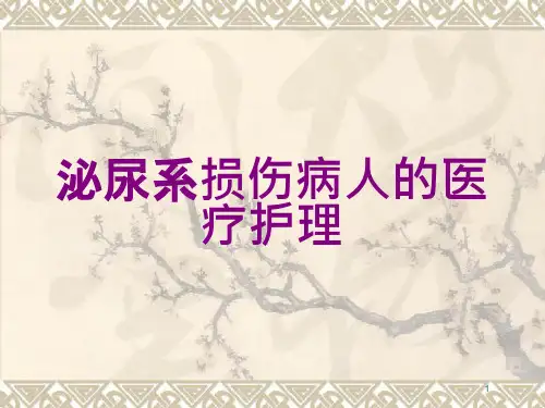 泌尿系损伤病人的医疗护理培训ppt课件