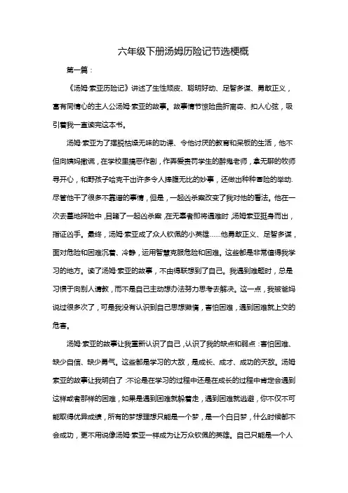 六年级下册汤姆历险记节选梗概200字