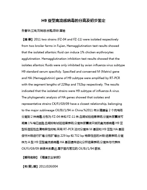 H9亚型禽流感病毒的分离及初步鉴定