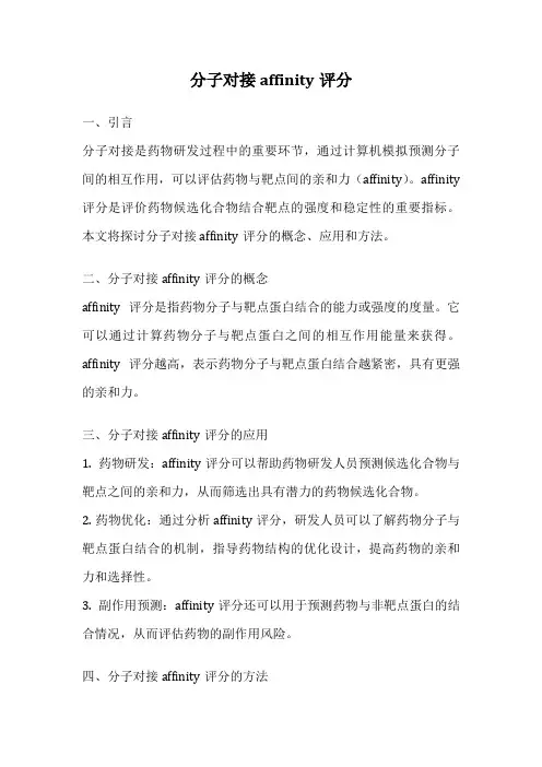 分子对接affinity评分