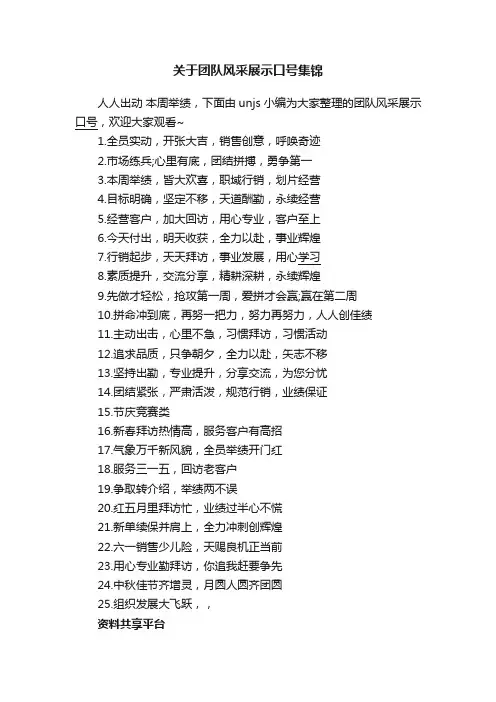 关于团队风采展示口号集锦