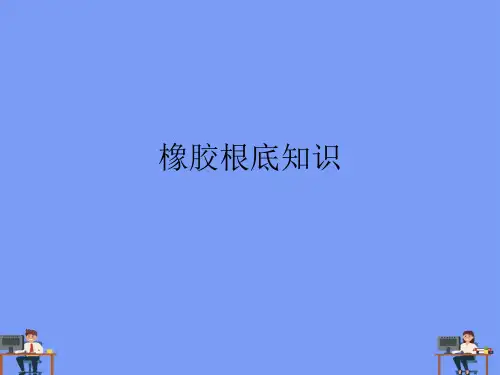 橡胶基础知识完美版PPT