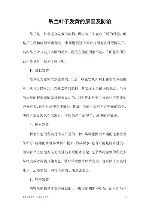 吊兰叶子发黄的原因及防治