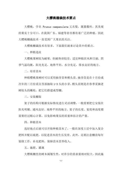 大樱桃棚栽技术要点