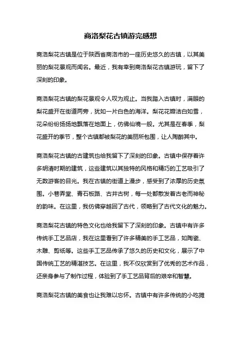 商洛梨花古镇游完感想