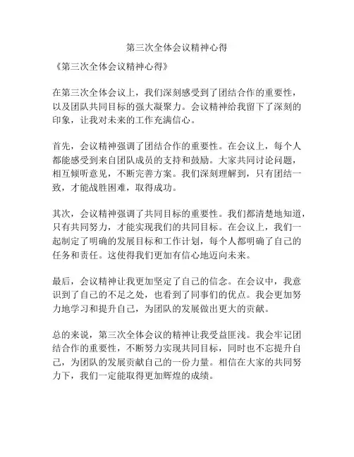 第三次全体会议精神心得