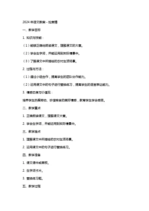 2024年语文教案-捡麦穗