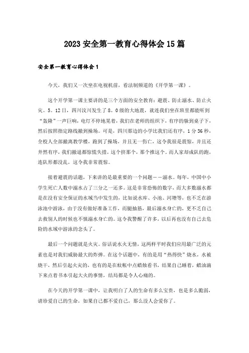 2023安全第一教育心得体会15篇
